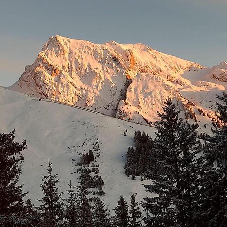 Appartement T2 Col De Merdassier Au Pied Des Pistes Manigod Eksteriør billede