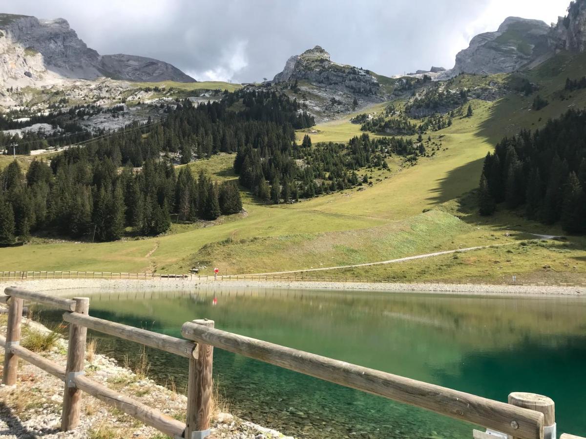 Appartement T2 Col De Merdassier Au Pied Des Pistes Manigod Eksteriør billede